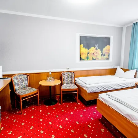 Zum Goldenen Loewen Hotel 3*