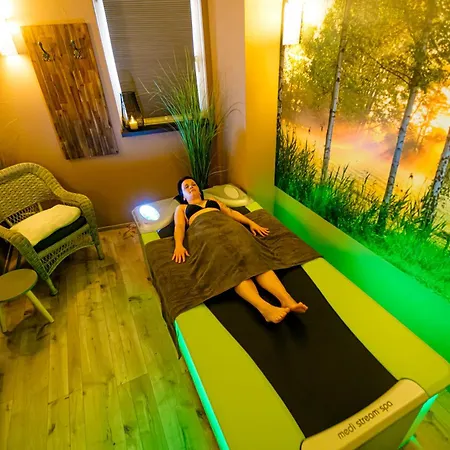 Hotel Zum Goldenen Löwen 3*