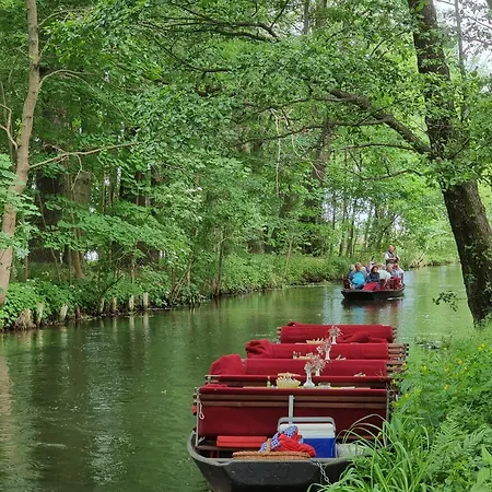 Zum Goldenen Loewen 3* Peitz
