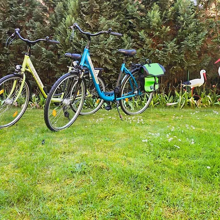 Zum Goldenen Loewen 3*