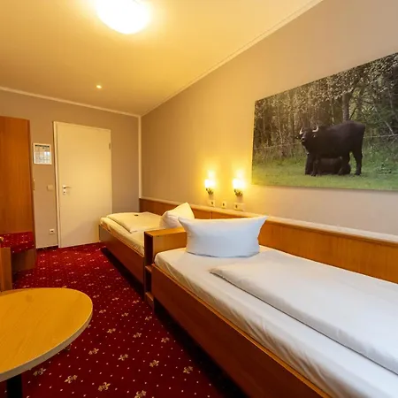 Zum Goldenen Loewen 3* Peitz