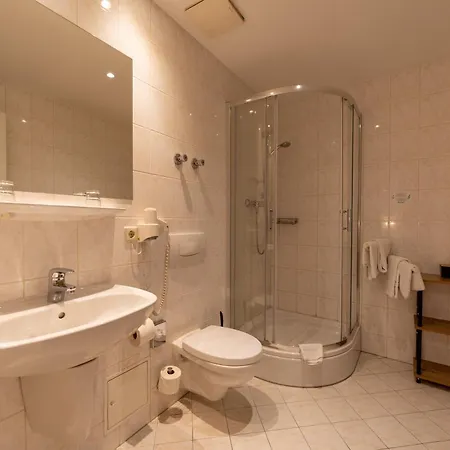 Zum Goldenen Loewen Hotel 3*