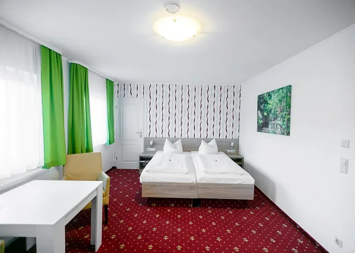 Zum Goldenen Loewen Hotel 3*