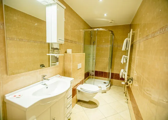 Zum Goldenen Loewen Hotel 3*