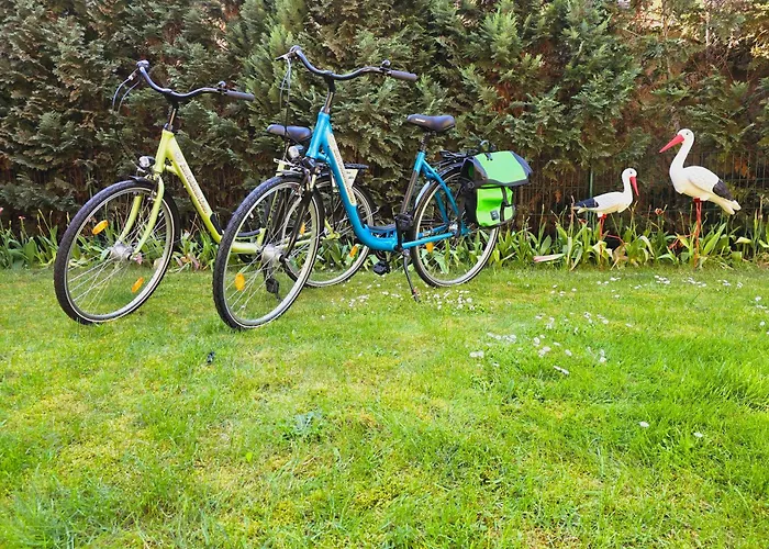 Zum Goldenen Loewen 3*