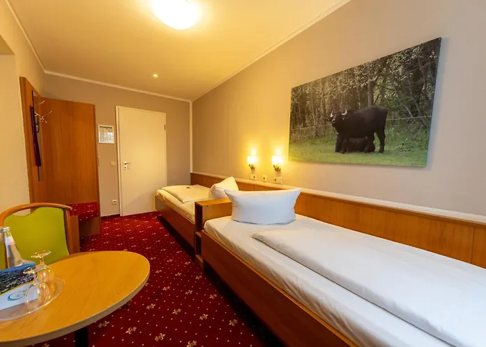 Zum Goldenen Loewen 3* Peitz