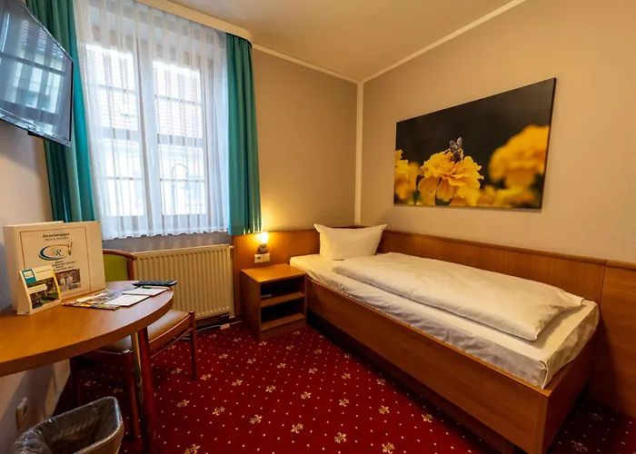 Zum Goldenen Loewen Hotel 3*