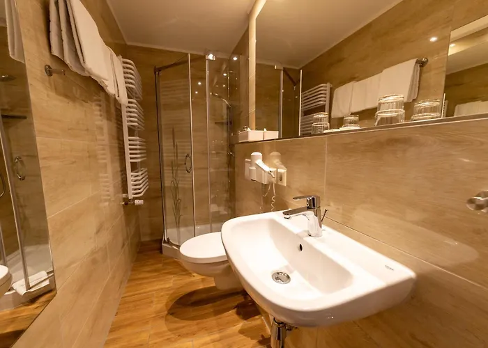 Zum Goldenen Loewen Hotel 3*