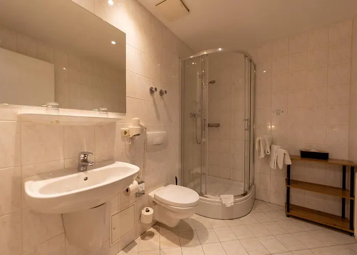 Zum Goldenen Loewen Hotel 3*